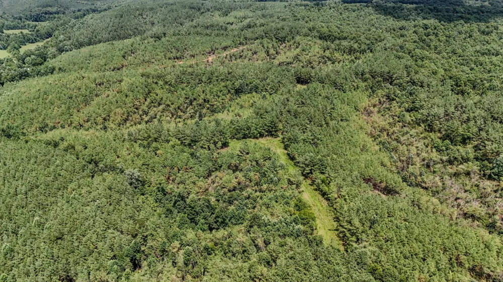 0 Big Opossum Rd Waynesboro, TN 38485