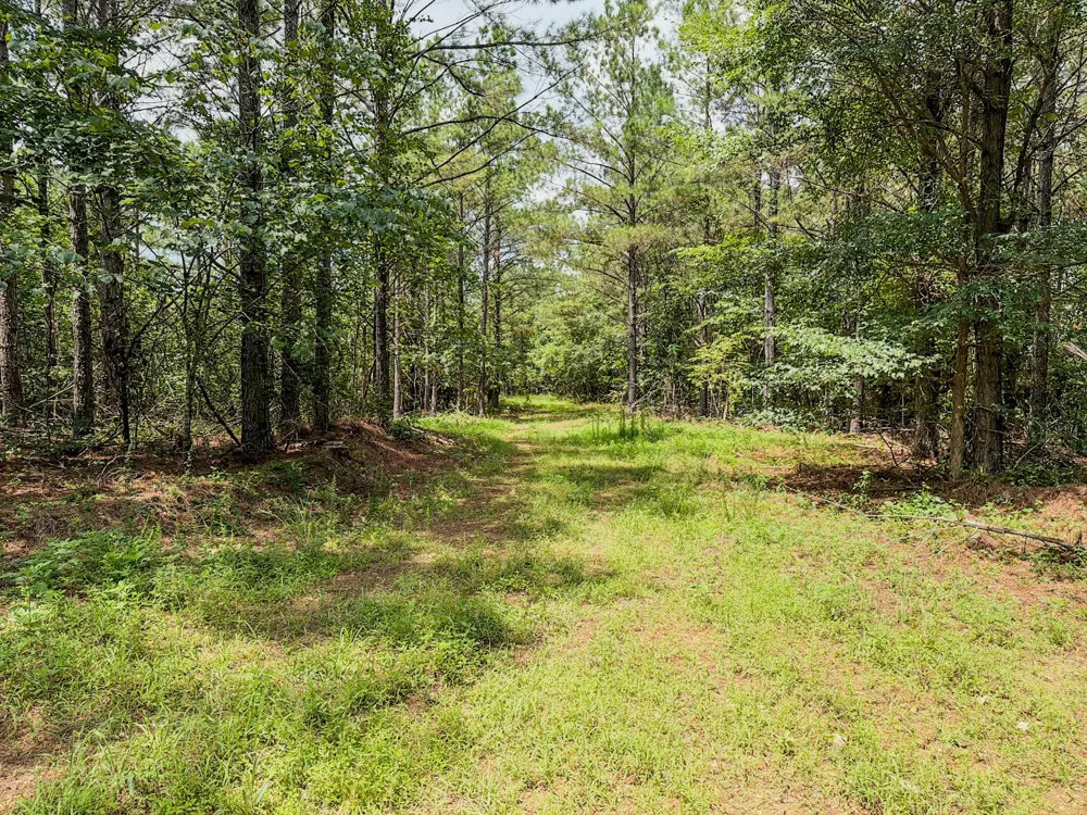 0 Big Opossum Rd Waynesboro, TN 38485