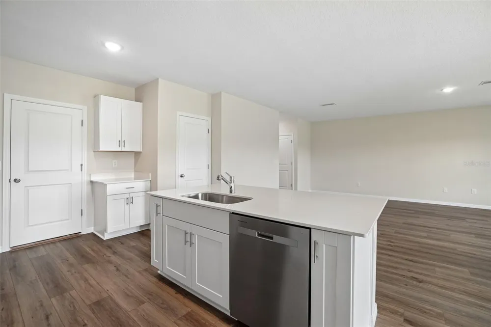 36605 SAGEMOOR DRIVE Zephyrhills, FL 33541