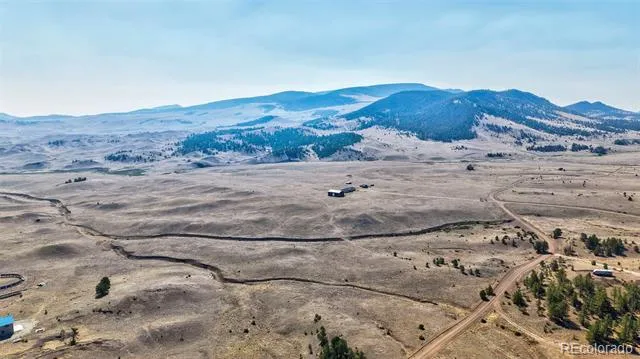 74 Dwyer Trail Hartsel, CO 80449