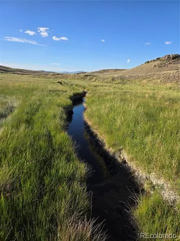 74 Dwyer Trail Hartsel, CO 80449