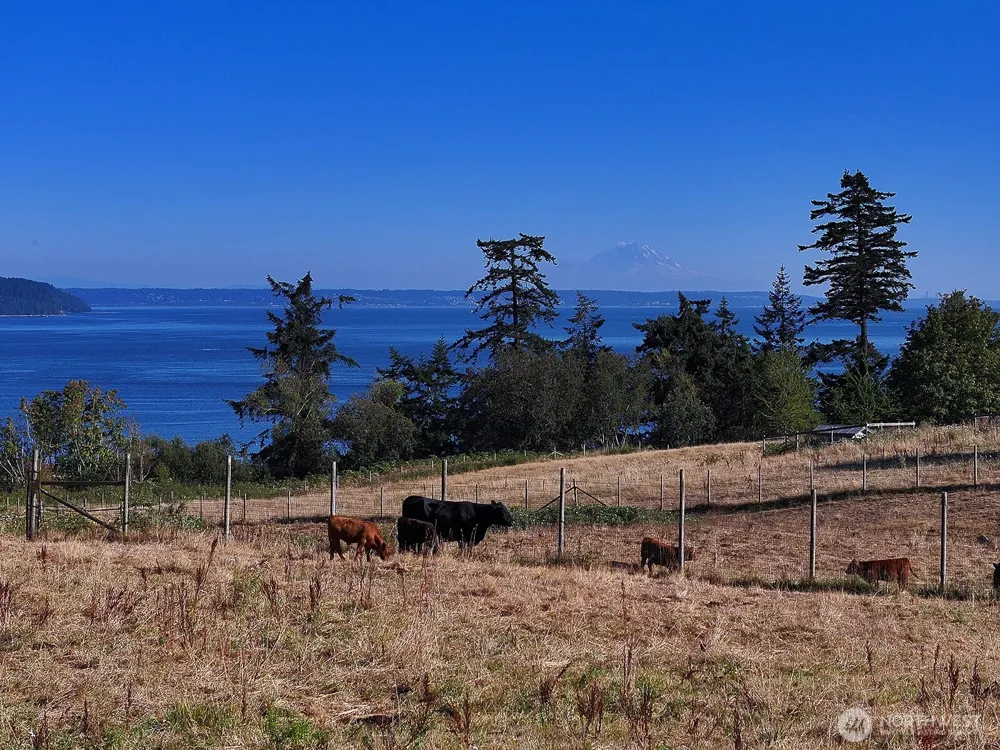 6065 McMaster Road Freeland, WA 98249