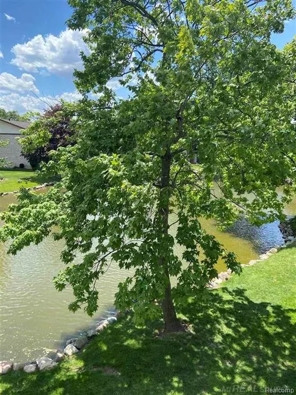 7485 Woodview Street #3 Westland City, MI 48185