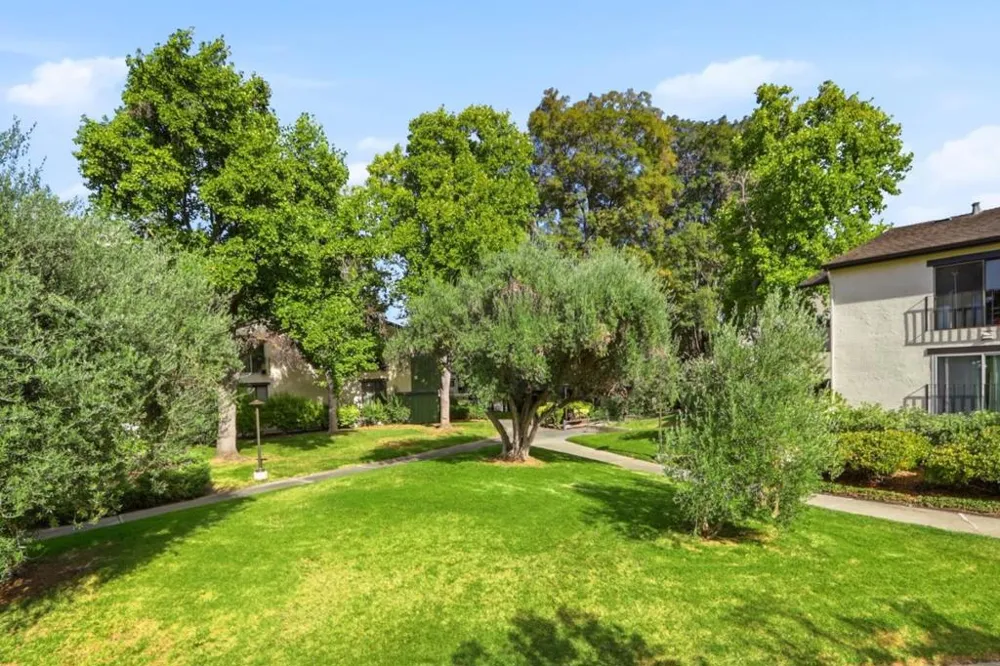 777 San Antonio Road #78 Palo Alto, CA 94303