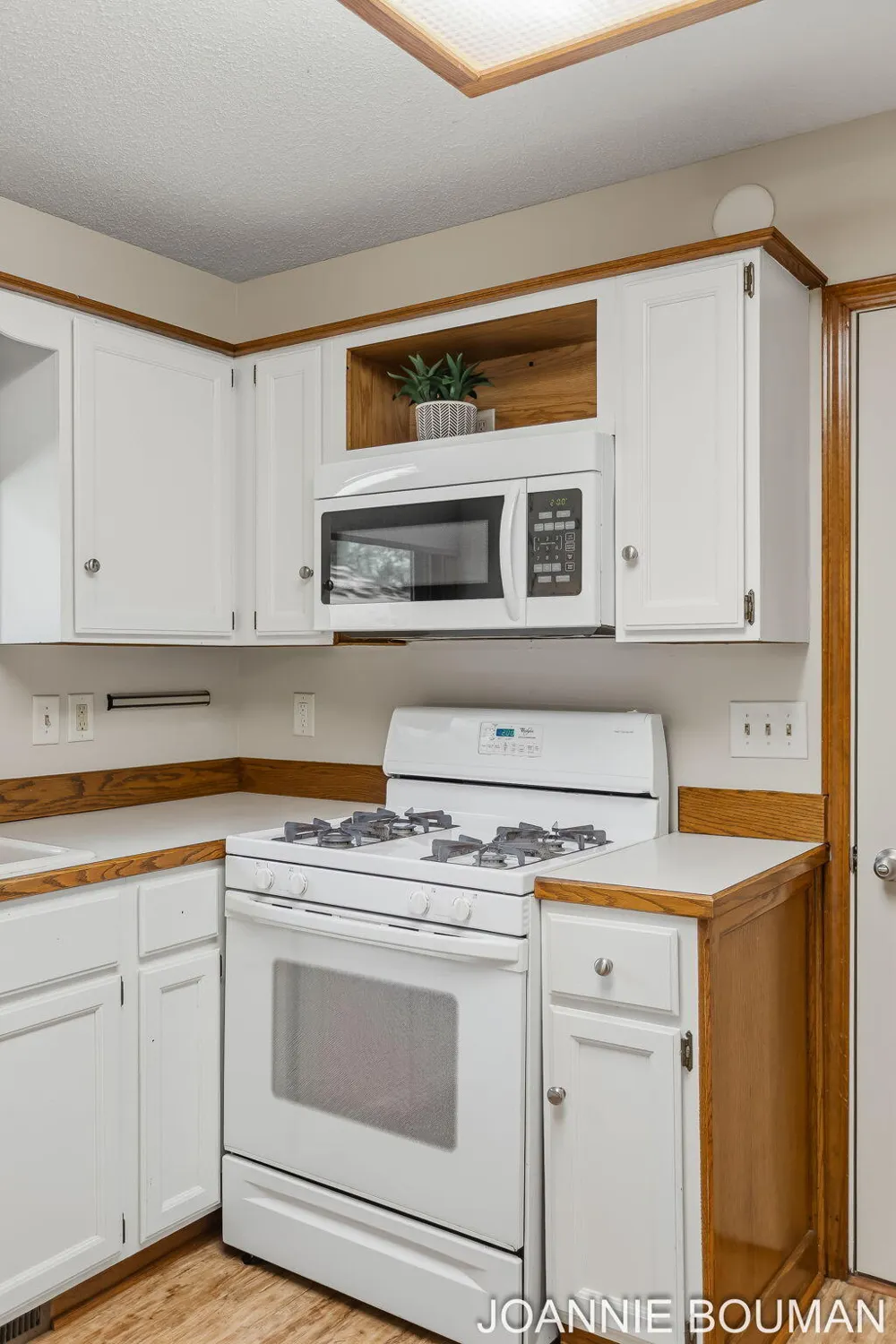 1323 Floral Street Holland City, MI 49423