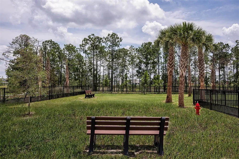 14751 FIELD DAISY DRIVE Winter Garden, FL 34787