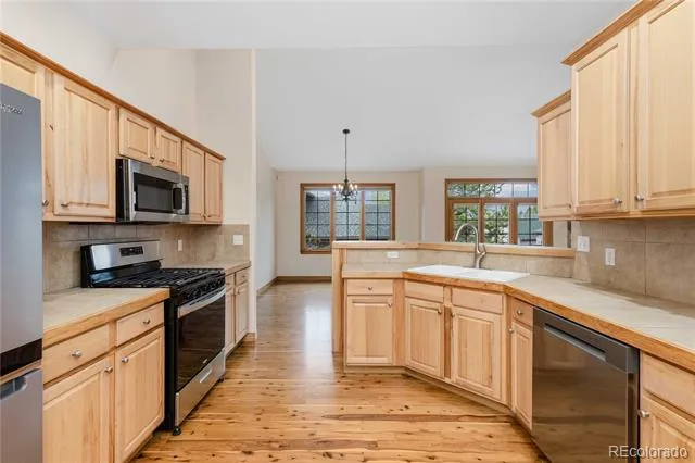 1294 Red Lodge Drive Evergreen, CO 80439