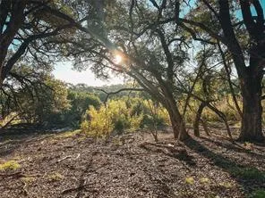 7 Rifle Ridge Burnet, TX 78611