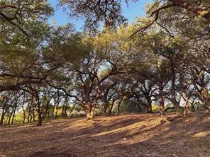 7 Rifle Ridge Burnet, TX 78611