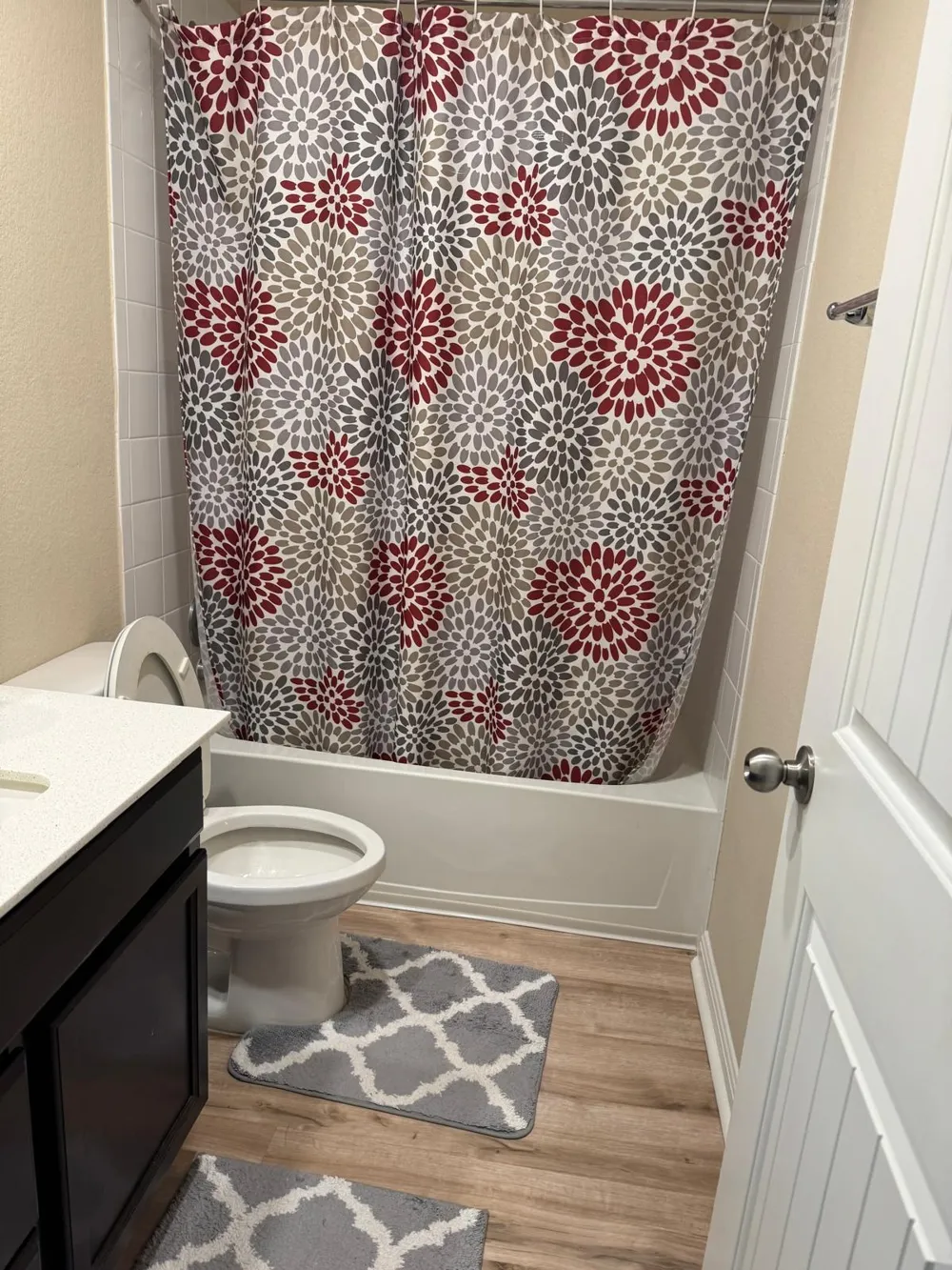 113 Queen Anne Drive Leander, TX 78641
