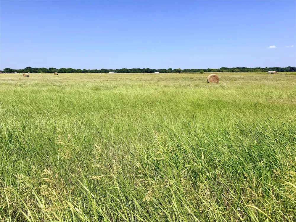 Ensign Drive Ennis, TX 75119
