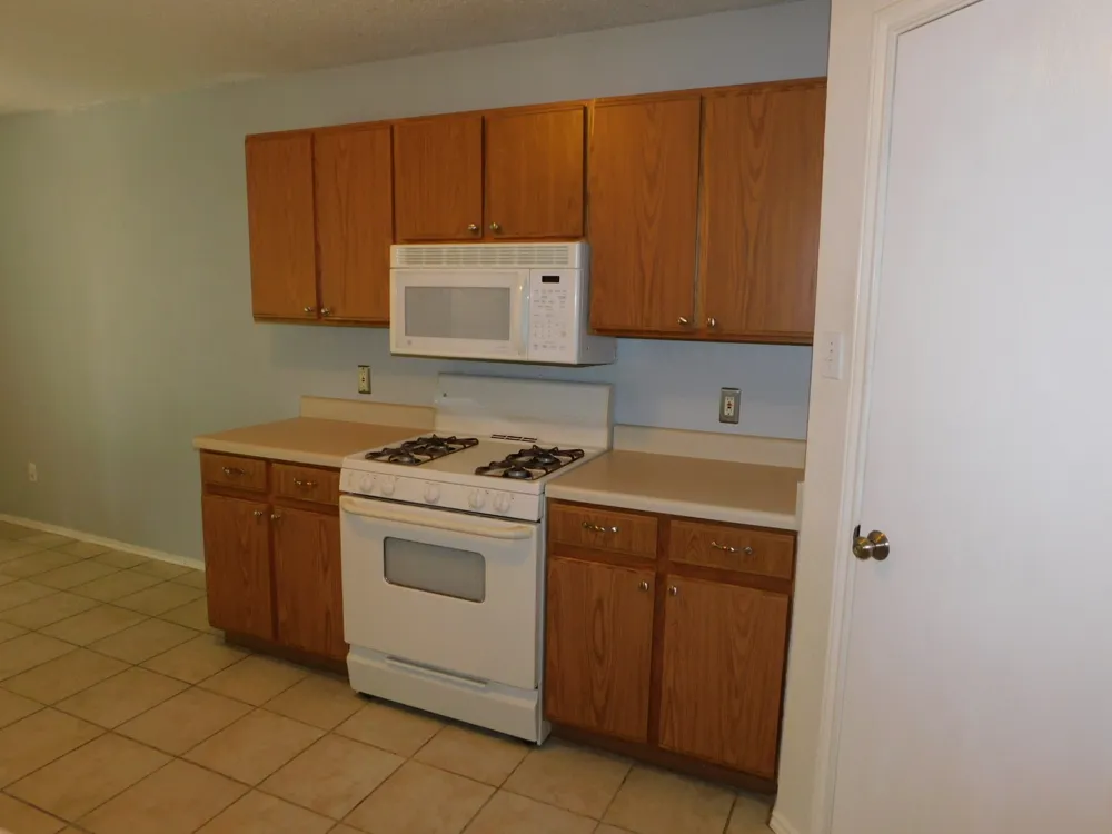1509 Black Locust Drive Pflugerville, TX 78660