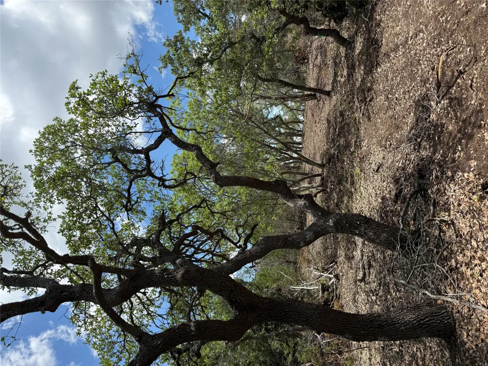 8 Altwein Road Blanco, TX 78606