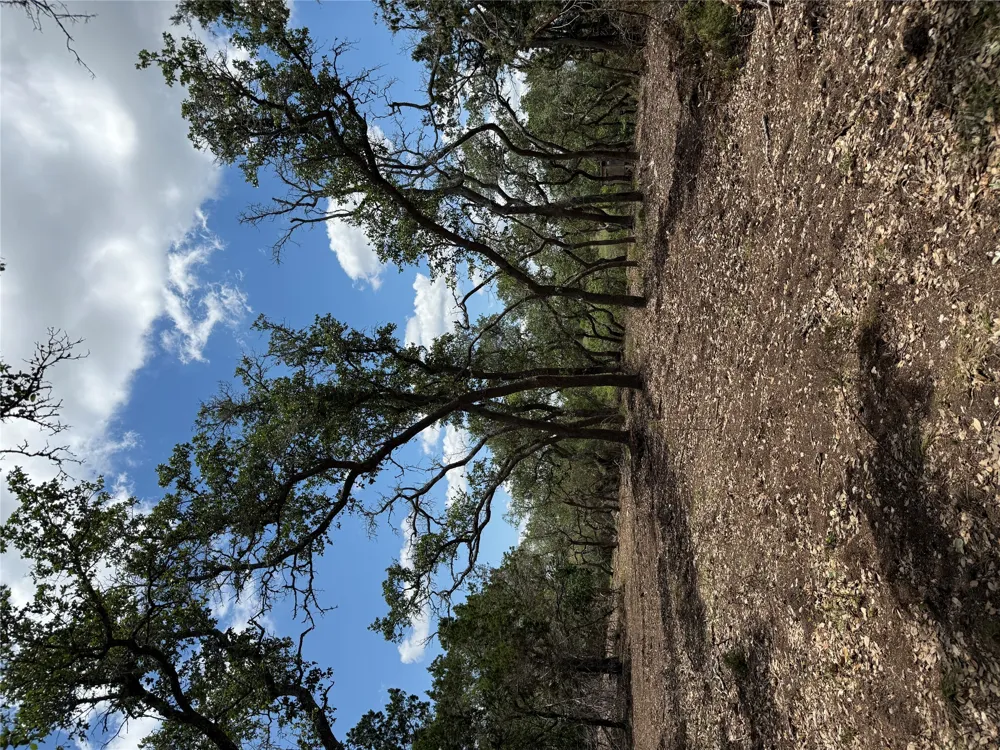 8 Altwein Road Blanco, TX 78606