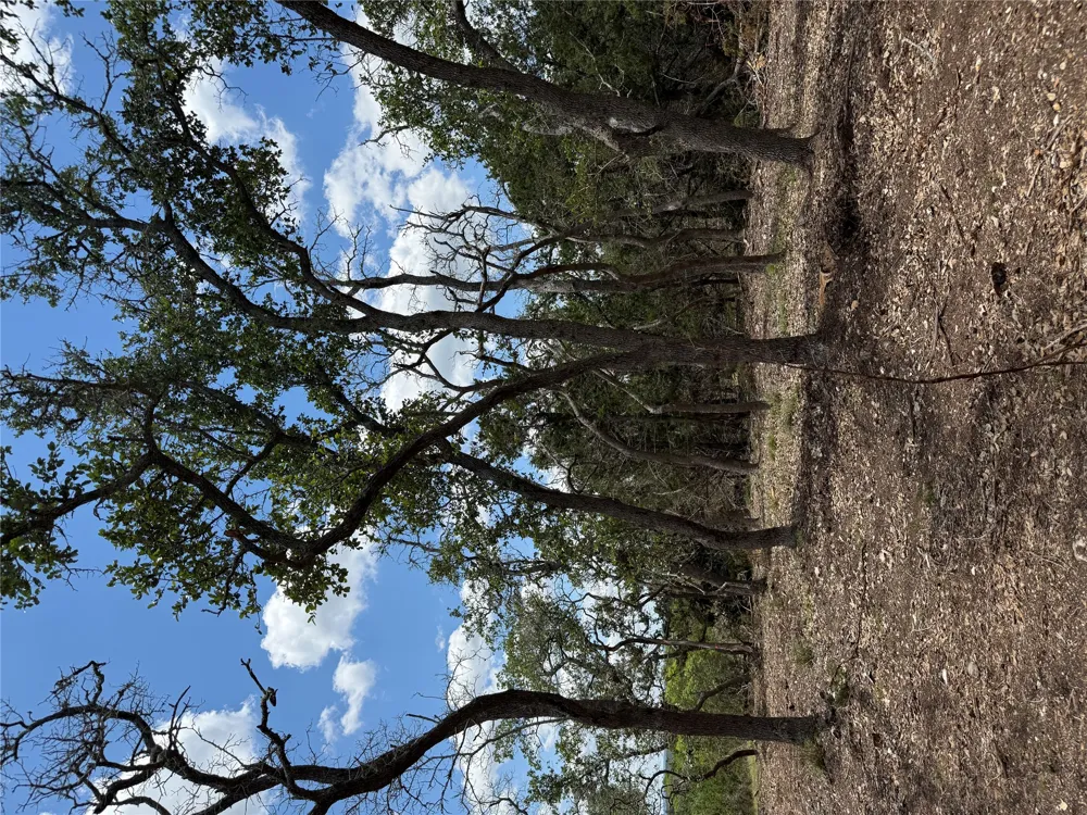 8 Altwein Road Blanco, TX 78606