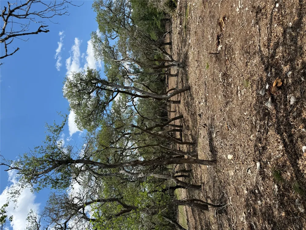 8 Altwein Road Blanco, TX 78606