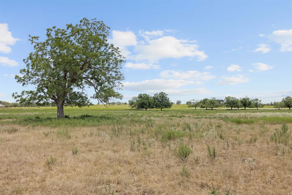 2 Fm 3158 Dale, TX 78616
