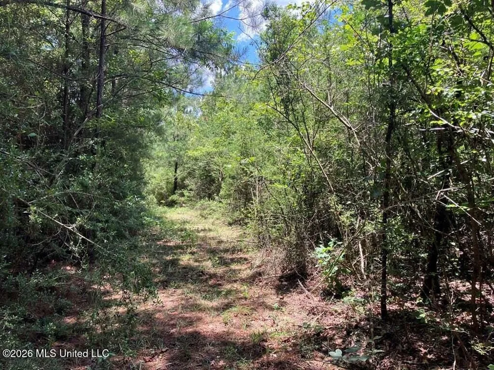 Ms-48 Tylertown, MS 39667