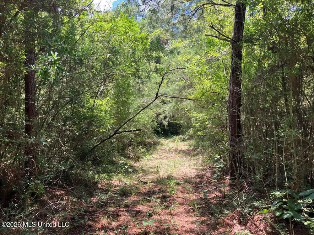 Ms-48 Tylertown, MS 39667