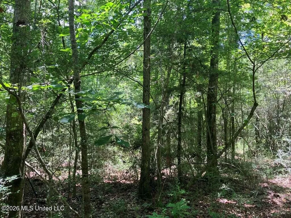 Ms-48 Tylertown, MS 39667