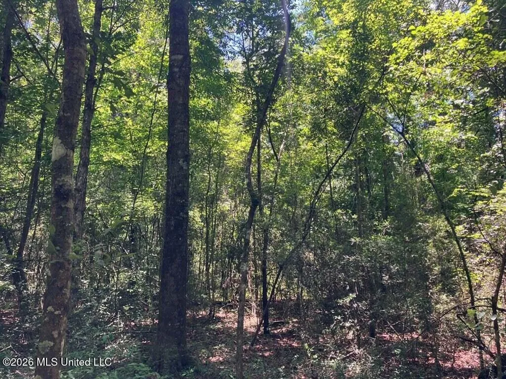 Ms-48 Tylertown, MS 39667