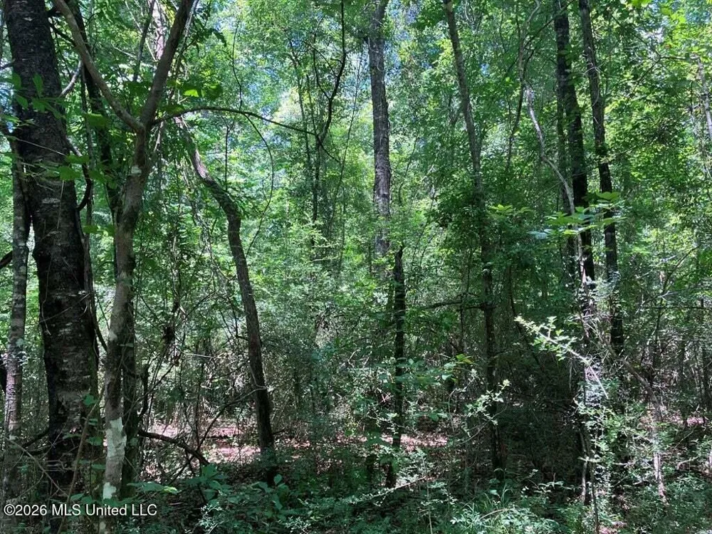 Ms-48 Tylertown, MS 39667