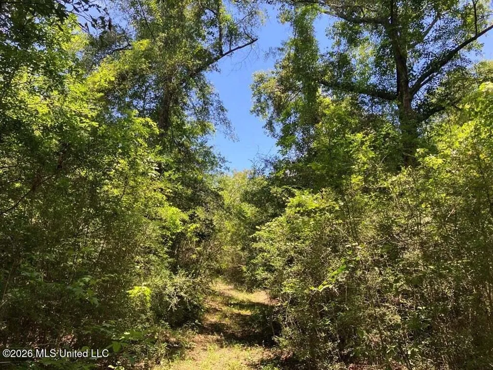 Ms-48 Tylertown, MS 39667