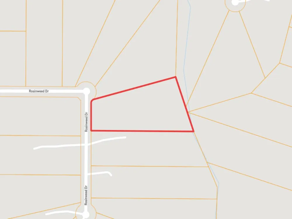509 Rosinweed Drive Spring Branch, TX 78070
