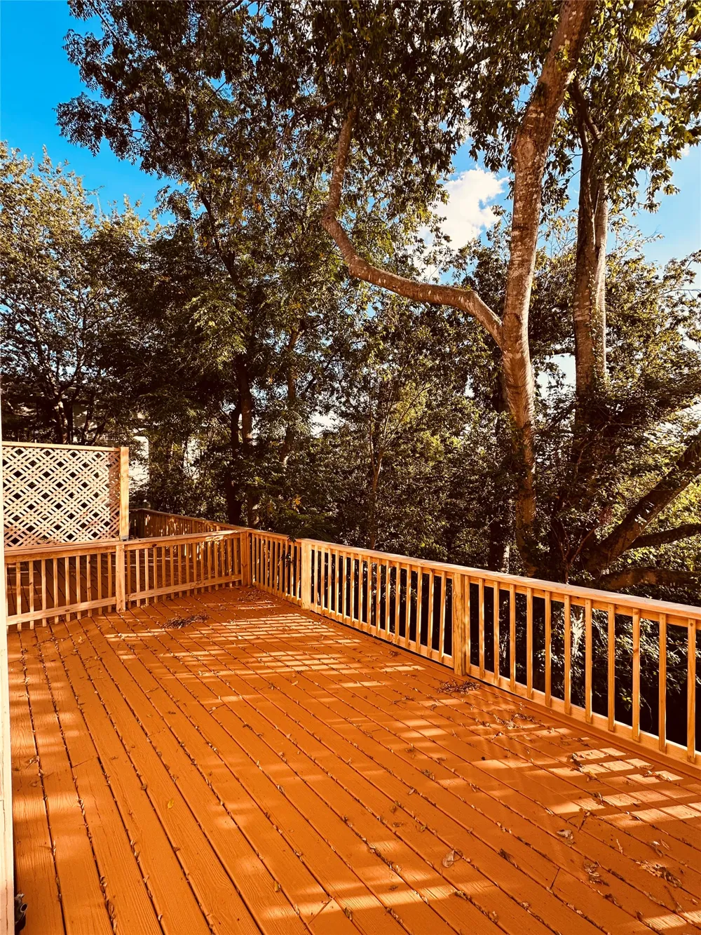 3529 North Hills Drive #B Austin, TX 78731