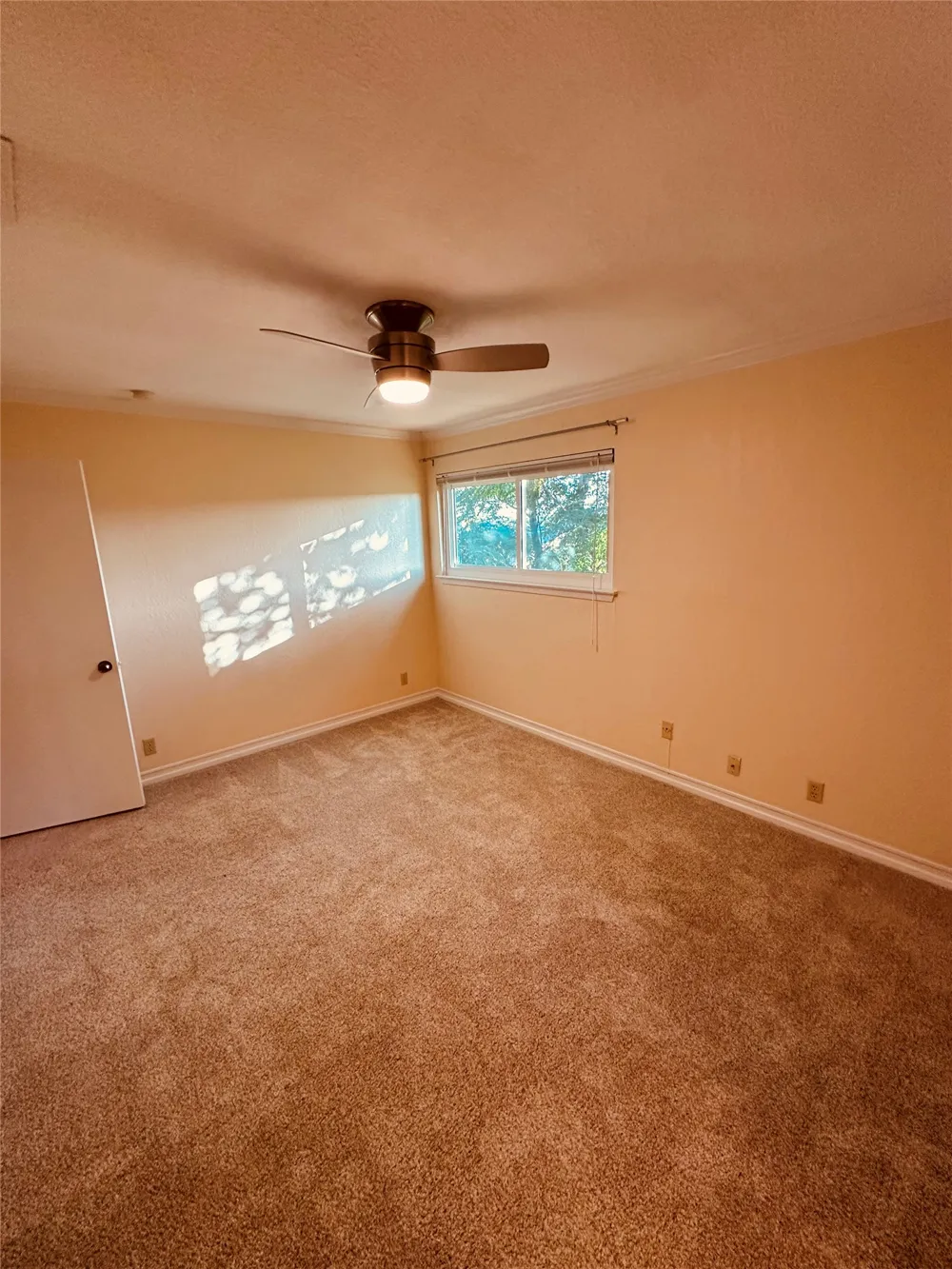 3529 North Hills Drive #B Austin, TX 78731
