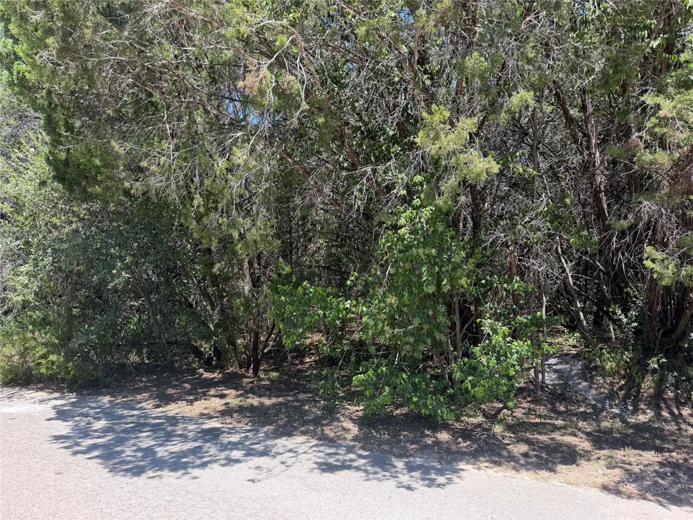 Great Eagle Trail Austin, TX 78734