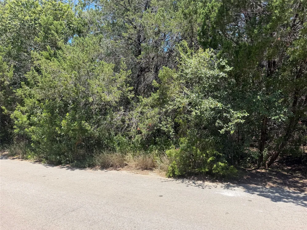 Great Eagle Trail Austin, TX 78734