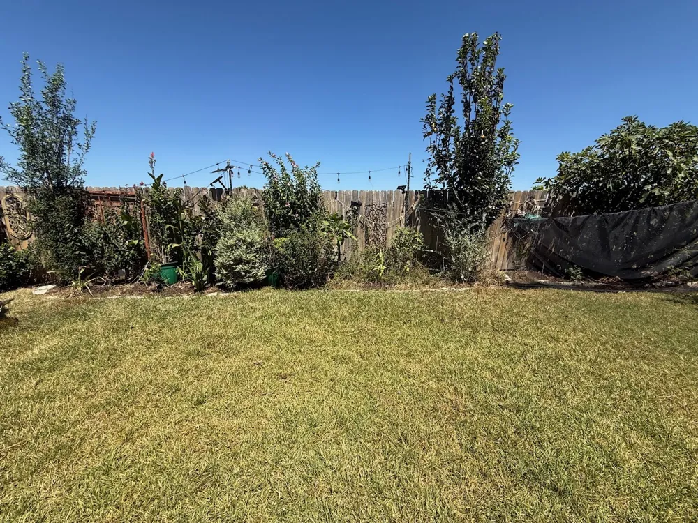 617 Ibis Falls Loop Jarrell, TX 76537