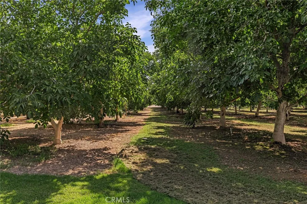 7652 Cutting Avenue Orland, CA 95963