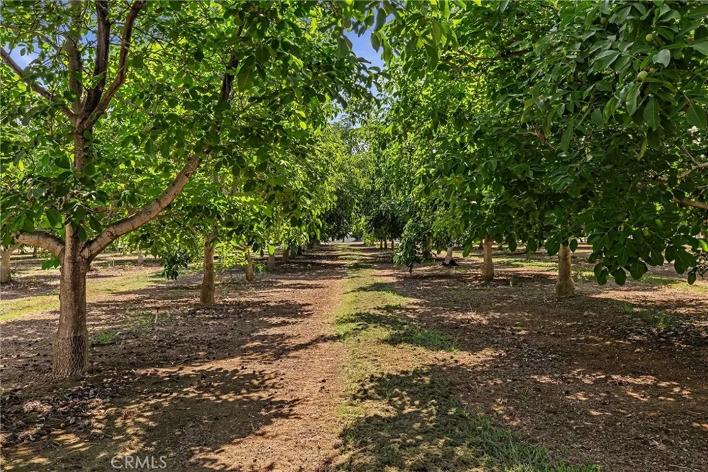 7652 Cutting Avenue Orland, CA 95963