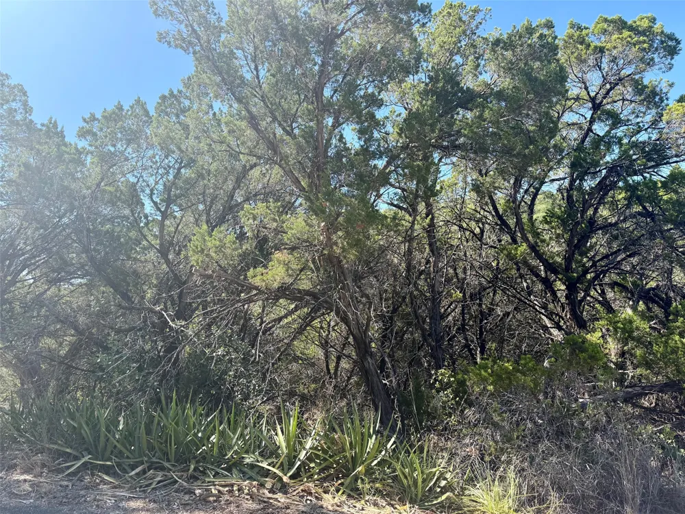 20823 Roundup Trail Lago Vista, TX 78645