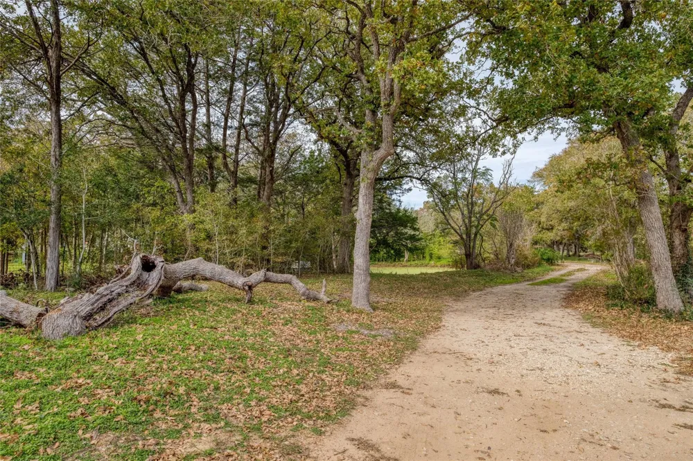 201 Artesian Drive Cedar Creek, TX 78612