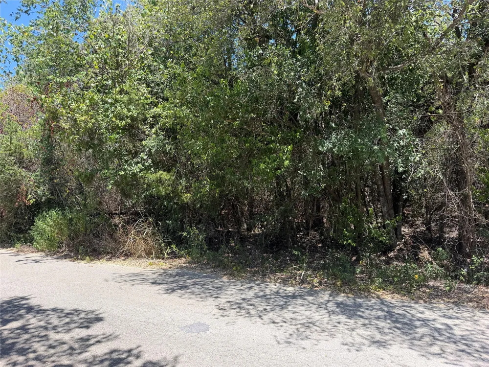 Great Eagle Trail Austin, TX 78734