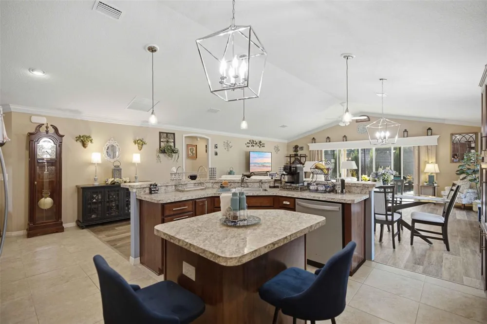 16897 SE 74TH SOULLIERE AVENUE The Villages, FL 32162