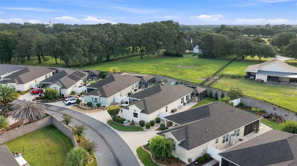16897 SE 74TH SOULLIERE AVENUE The Villages, FL 32162