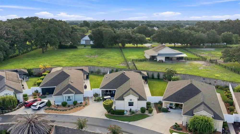 16897 SE 74TH SOULLIERE AVENUE The Villages, FL 32162