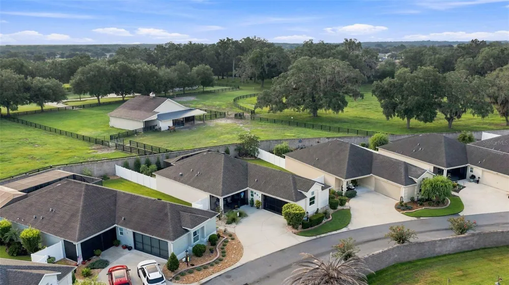 16897 SE 74TH SOULLIERE AVENUE The Villages, FL 32162