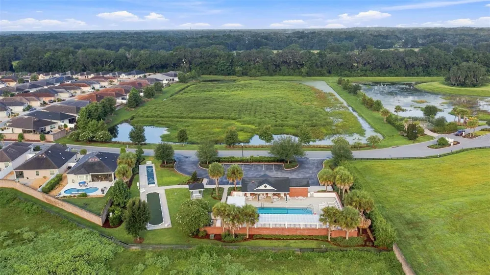16897 SE 74TH SOULLIERE AVENUE The Villages, FL 32162