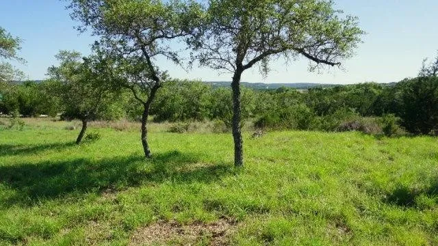 124 Sendera Way Canyon Lake, TX 78133