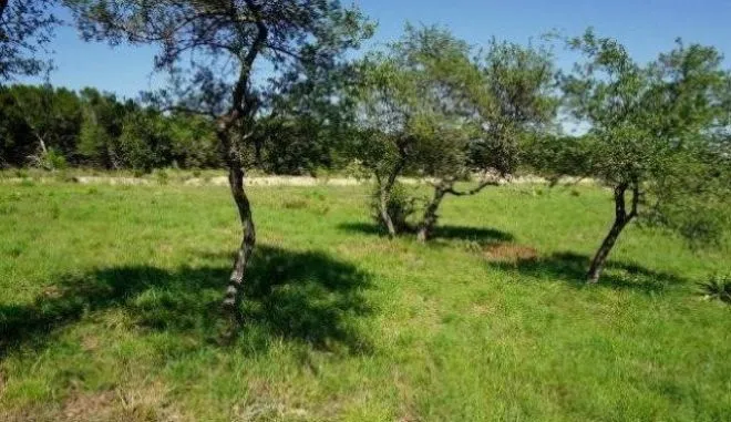 124 Sendera Way Canyon Lake, TX 78133