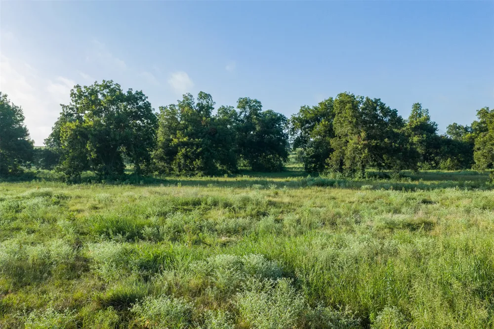 LCR 721 Thornton, TX 76653