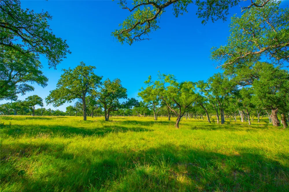 Rocky Creek Ranch Johnson City, TX 78636