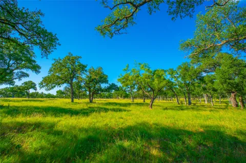 Rocky Creek Ranch