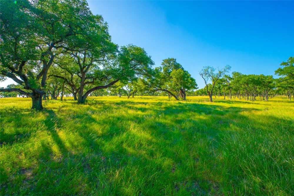 Rocky Creek Ranch Johnson City, TX 78636