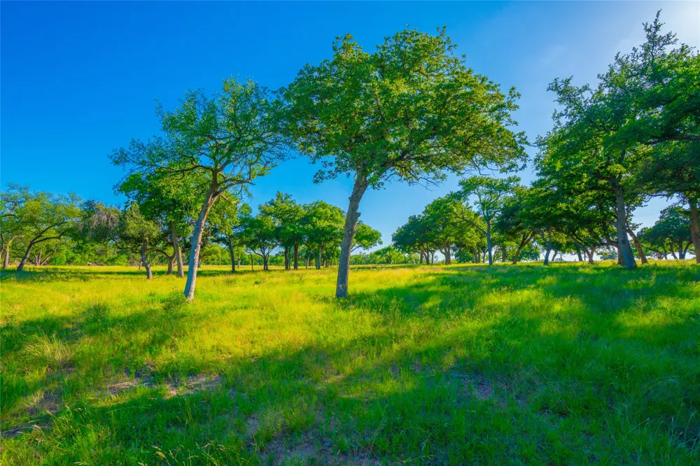 Rocky Creek Ranch Johnson City, TX 78636